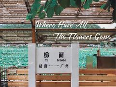 -红山村
