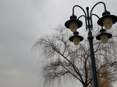 -迪士尼小镇