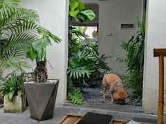 -漫笙舍Manse·咖啡·民宿