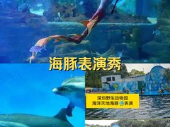 -深圳野生动物园