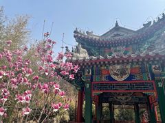 -红螺寺