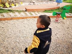 -金宝幼儿园(通州校区)