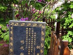 -曹州牡丹园