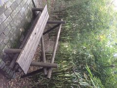 iphone_upload_pic-溱湖国家湿地公园