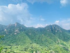 -大岭沟猕猴桃谷风景区