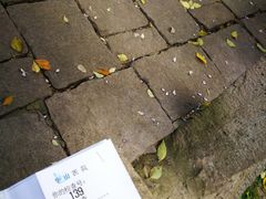 -复旦大学附属华山医院(江苏路分部)