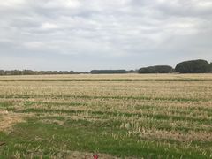-嘉北郊野公园