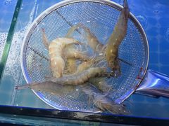 -星海汇海鲜烤肉火锅自助(二七广场百年德化店)