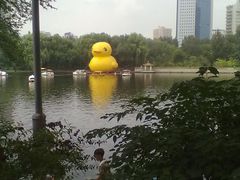 QQ图片20130720142639-沈阳南湖公园