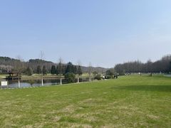 -宜兴龙背山森林公园