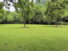 -大屏嶂森林公园