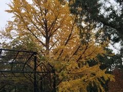 -香山公园-东宫门售票处