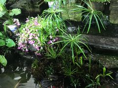 -润泽园椰子鸡(汇一城店)
