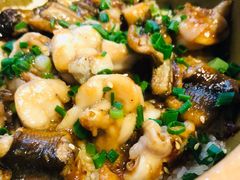 -红星光发煲仔饭(文海店)