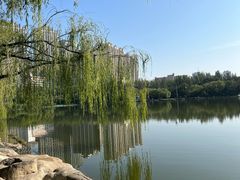 -青城公园