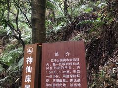-滴水岩森林公园