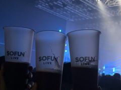 -SoFun Live