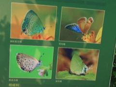-西湖风景区-江洋畈生态公园
