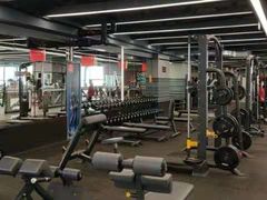 -金吉鸟健身游泳