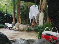 -张家港金凤凰度假村温泉