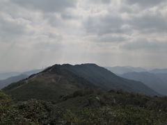 -麦当劳(凌云天地长桥店)