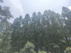 -上海虹桥迎宾馆
