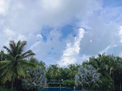 -三亚湾海居铂尔曼度假酒店