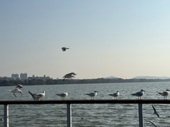 -蠡湖大桥公园