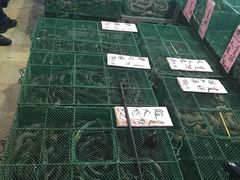 -荔城生鲜盛宴(番禺旗舰店)