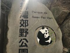 -石排湾郊野公园