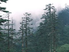 -瓦屋山景区