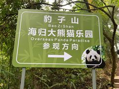 -碧峰峡风景区