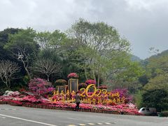 -梧桐山风景名胜区