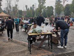 -枫香湖儿童公园