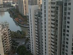-新湖明珠城