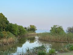 -上海吴淞炮台湾国家湿地公园