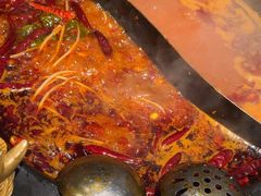 -蜀大侠火锅(建设路第五大道店)