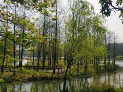 -梁鸿国家湿地公园