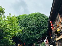-同利肉燕老铺(澳门路店)