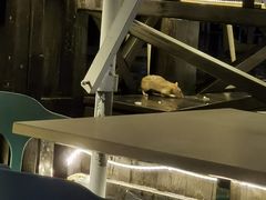 -爱琴海音乐餐吧(西秀海滩店)
