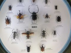-舟山博物馆
