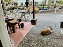 -茶米人台湾料理·精致快简餐