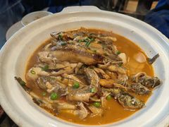 -陈厨老家菜馆(新苑店)
