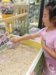 -小象动悟公园(龙湖亦庄天街店)