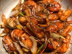 -新白鹿餐厅(百联中环店)