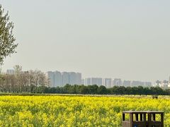 -汉长安城未央宫国家考古遗址公园