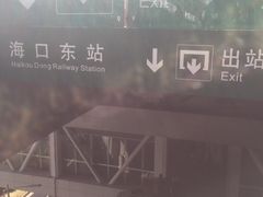 -海口东站