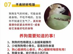 -喜多萌中农锦绣动物医院24H·猫科·牙科MRI·CT
