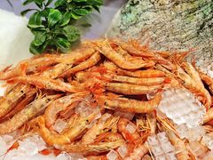 -圣罗巴海鲜自助(黑金店)