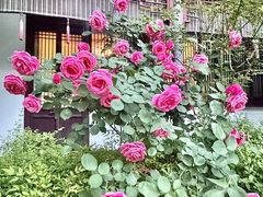 -祝家花園(伯渎港店)